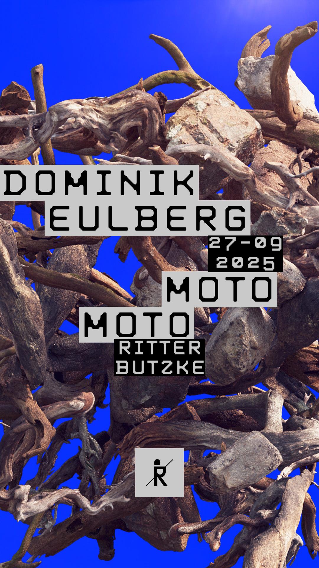 Dominik Eulberg