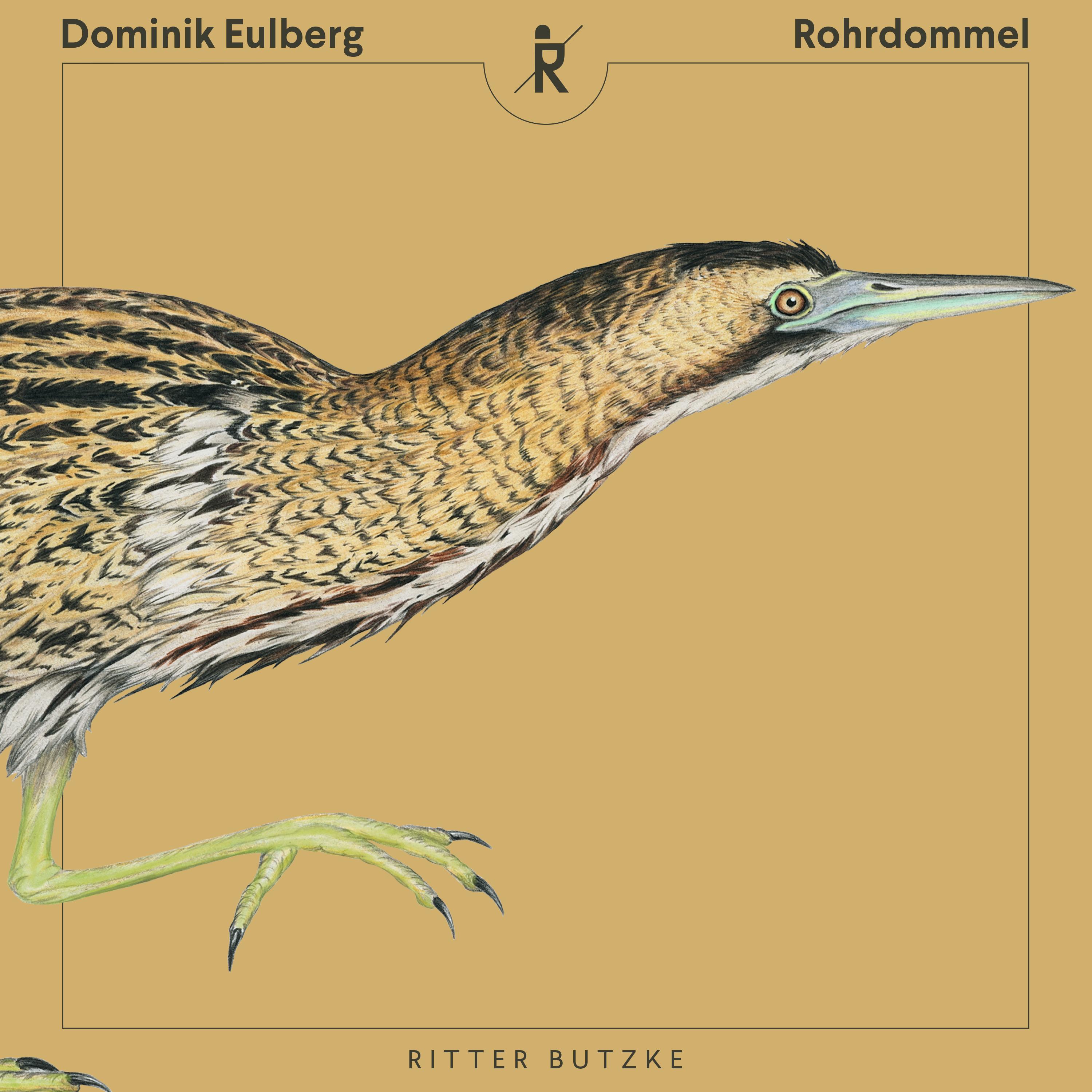 DominikEulberg_Rohrdommel_Cover_3000x3000px_FINAL 2.png