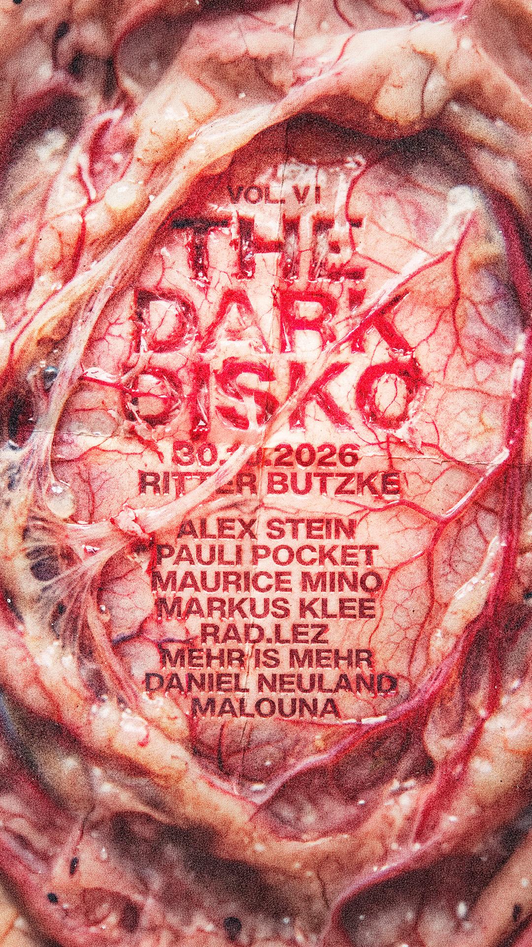 The Dark Disko
